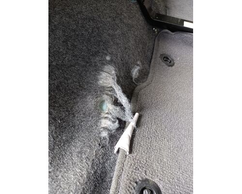 フロアカーペットリペア