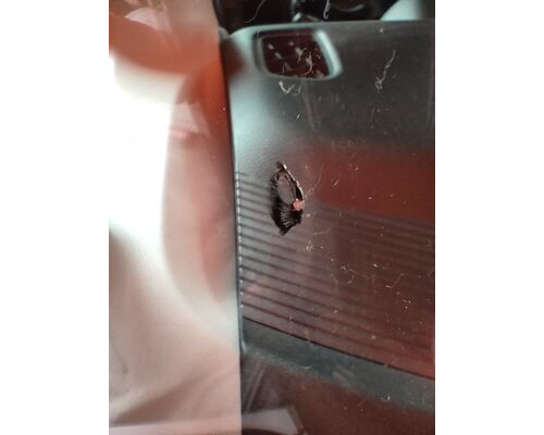 ウィンドウリペア