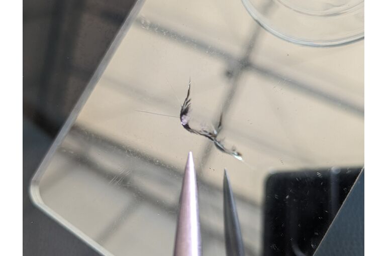 フロントガラス